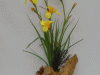 Flowers on Wood