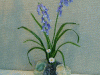 Stoneflora